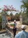 PICTURE_015
