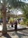 PICTURE_036